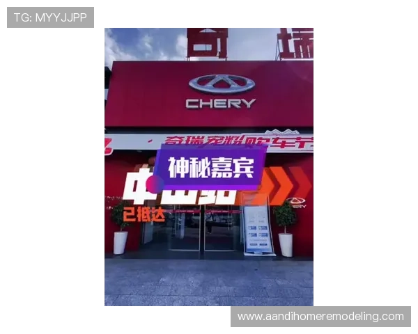 尊龙人生就是博门店：如何通过优质服务和多样化产品赢得客户持续青睐